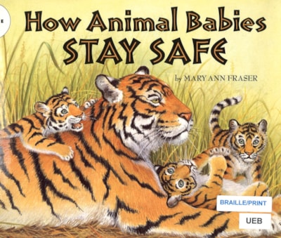 How animal babies stay safe thumbnail